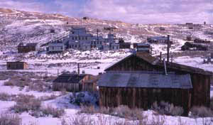 2_bodie7-a
